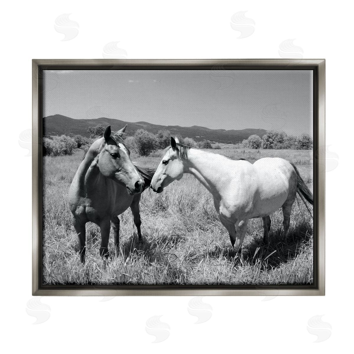 Steve Toole Two Horses Photography Gray Floater Frame Canvas Artside_
