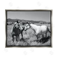 Steve Toole | Two Horses Photography