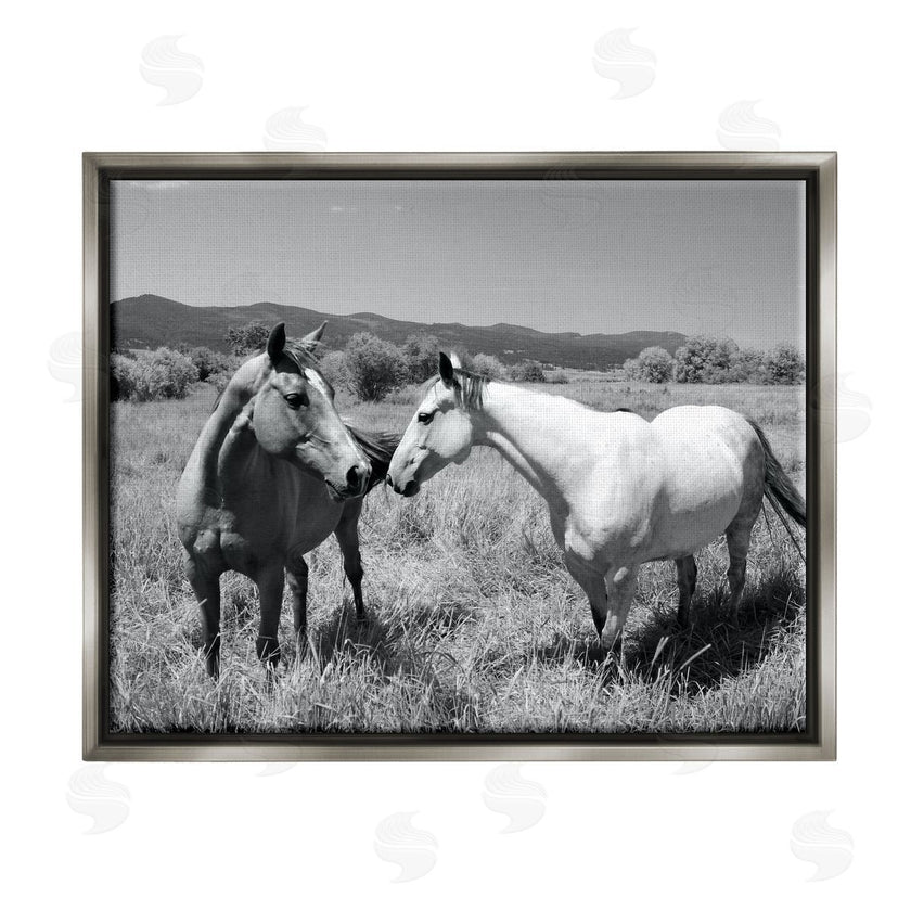 Steve Toole | Two Horses Photography