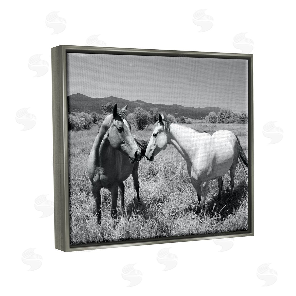 Steve Toole | Two Horses Photography