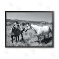 Steve Toole | Two Horses Photography