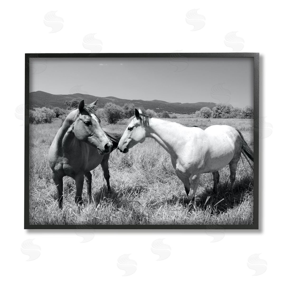 Steve Toole | Two Horses Photography