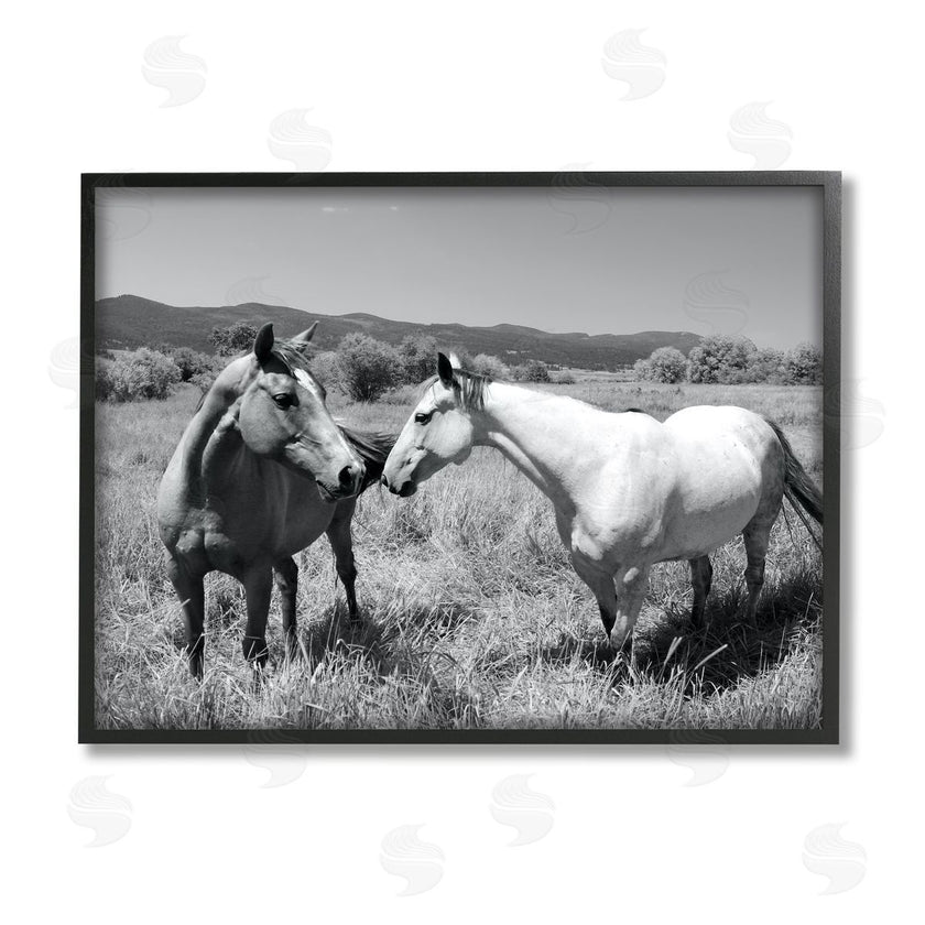 Steve Toole | Two Horses Photography