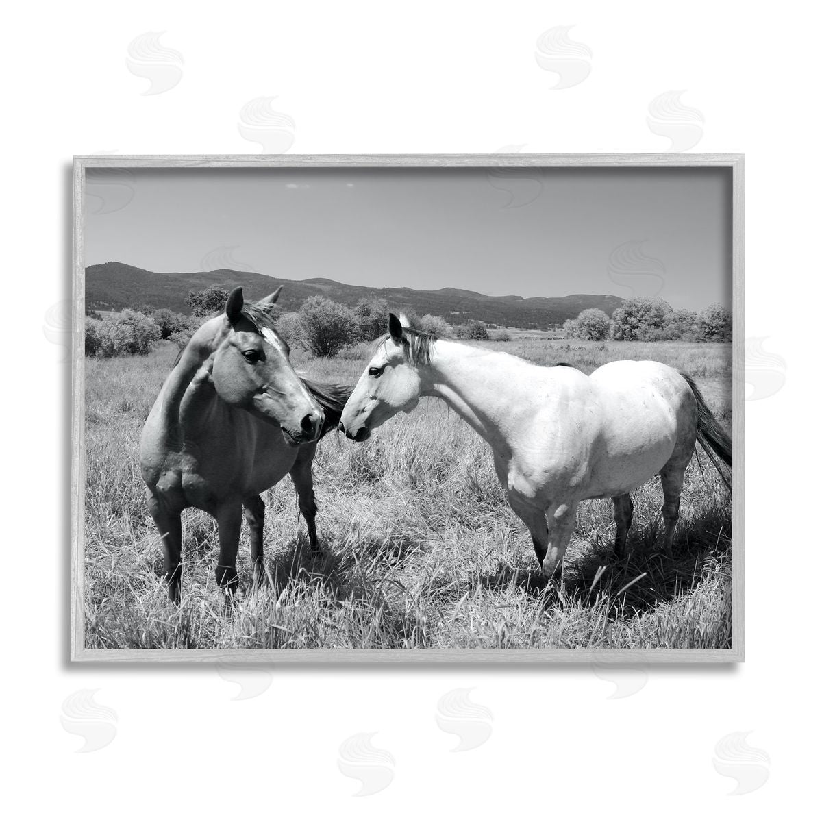 Steve Toole | Two Horses Photography