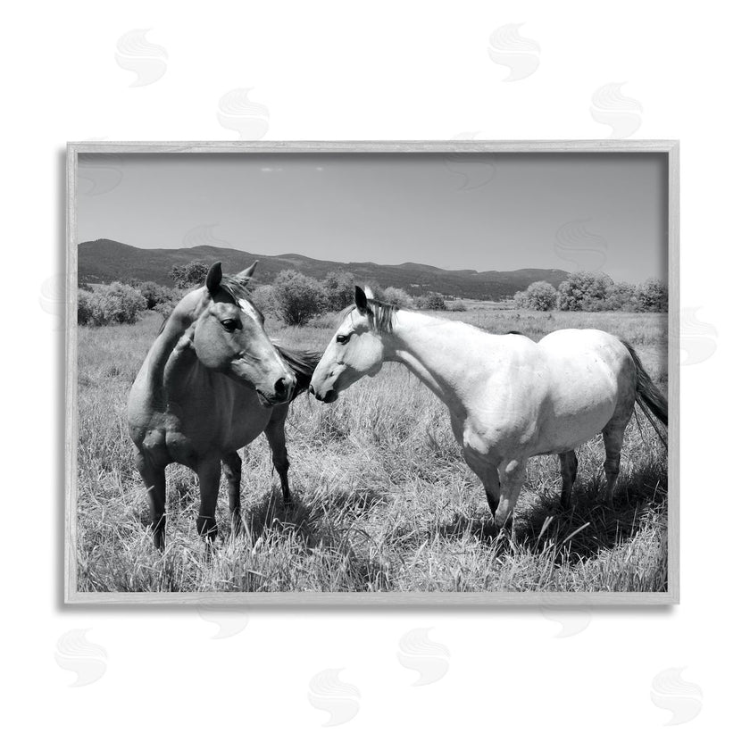 Steve Toole | Two Horses Photography