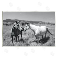 Steve Toole | Two Horses Photography
