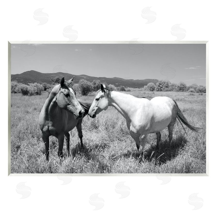 Steve Toole | Two Horses Photography