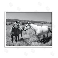 Steve Toole | Two Horses Photography