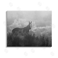 Steve Toole | Horse in Nature Trees