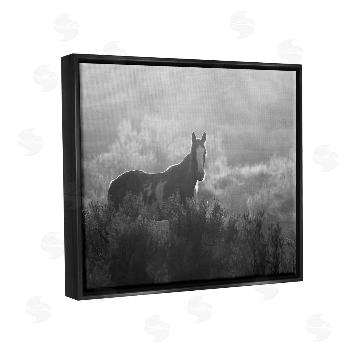Steve Toole | Horse in Nature Trees