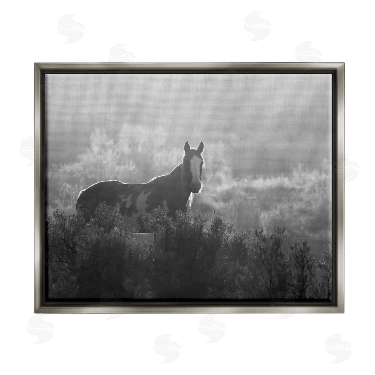 Steve Toole | Horse in Nature Trees