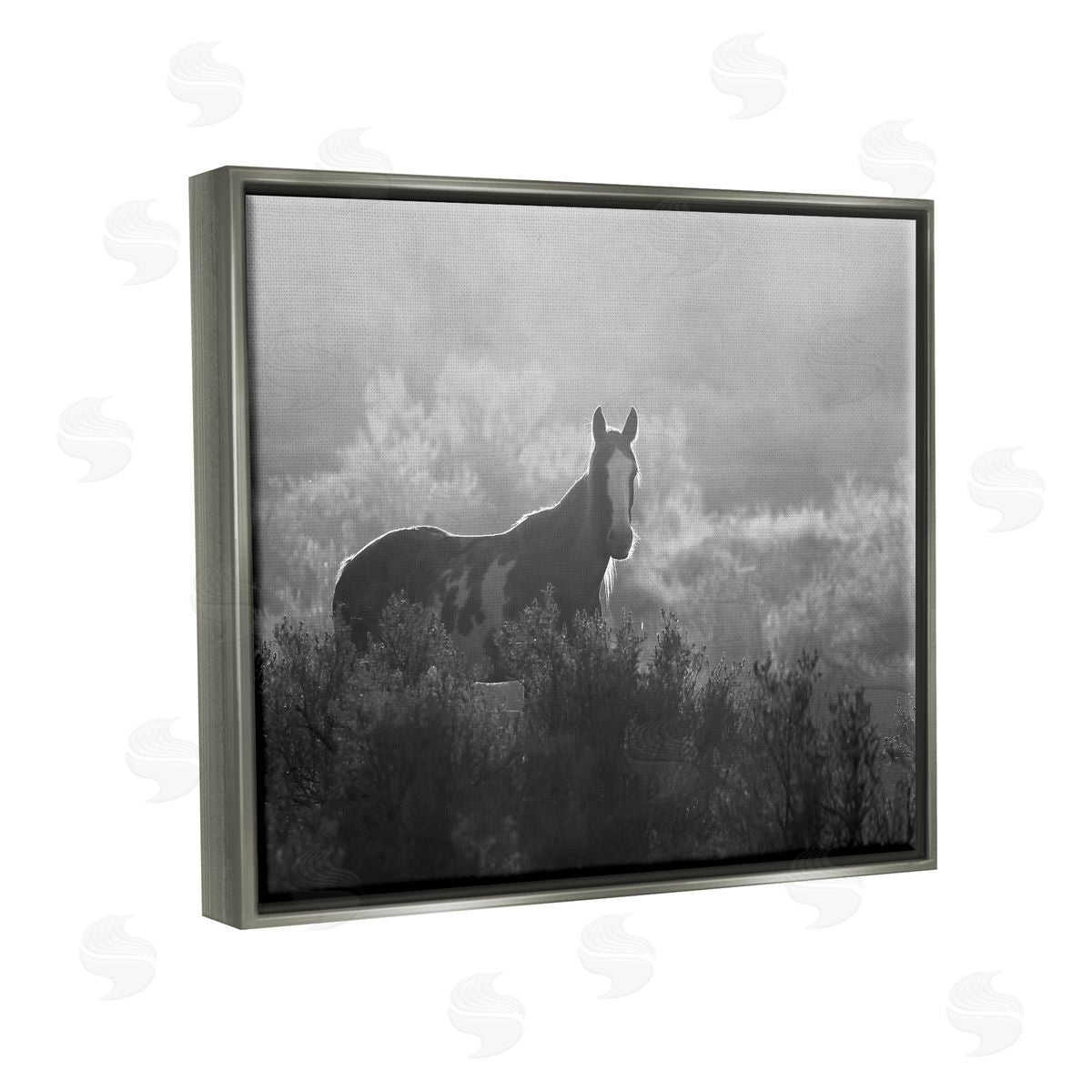 Steve Toole | Horse in Nature Trees