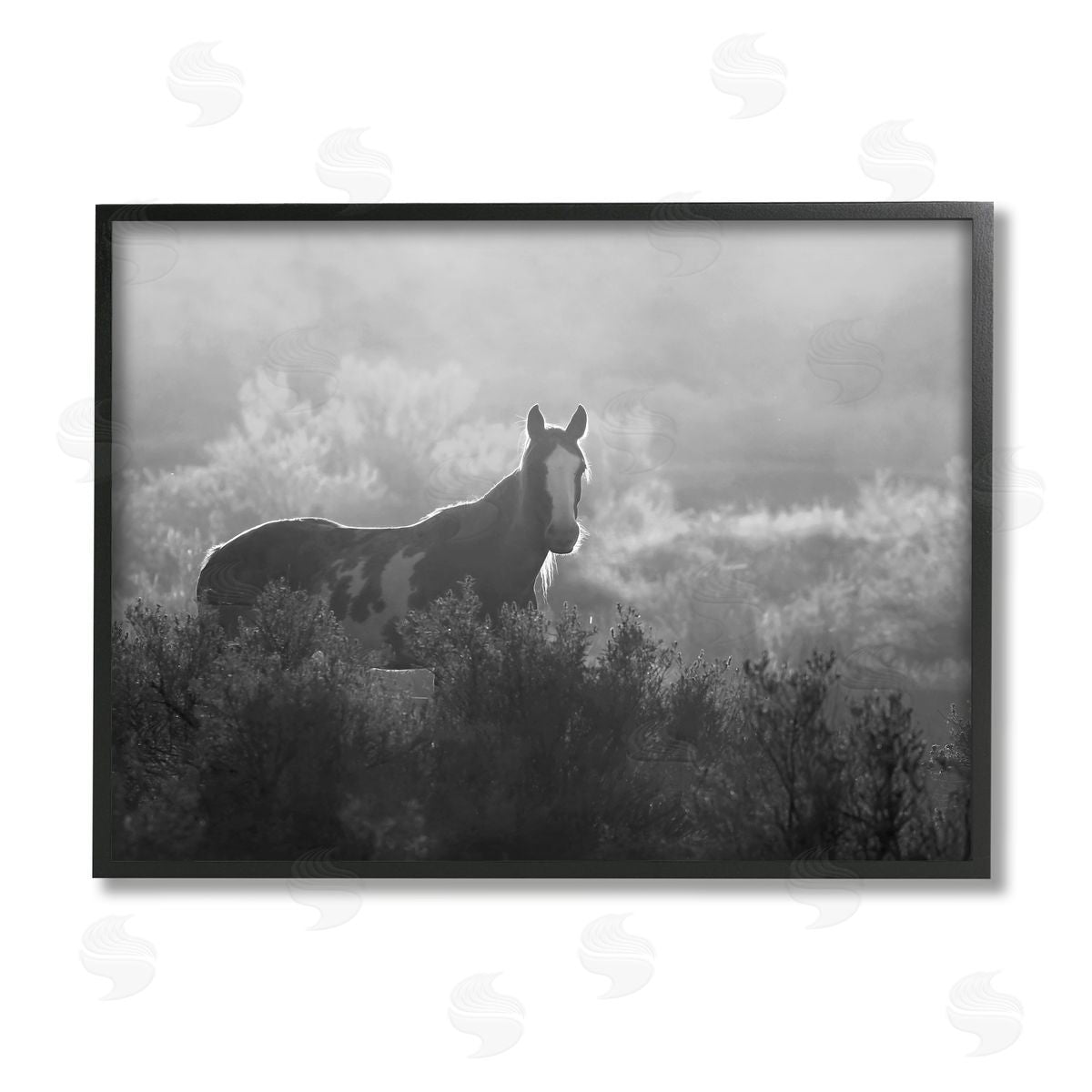 Steve Toole Horse in Nature Trees Black Framed Giclee Wall Artside_