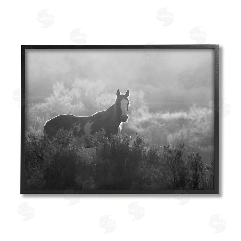 Steve Toole | Horse in Nature Trees