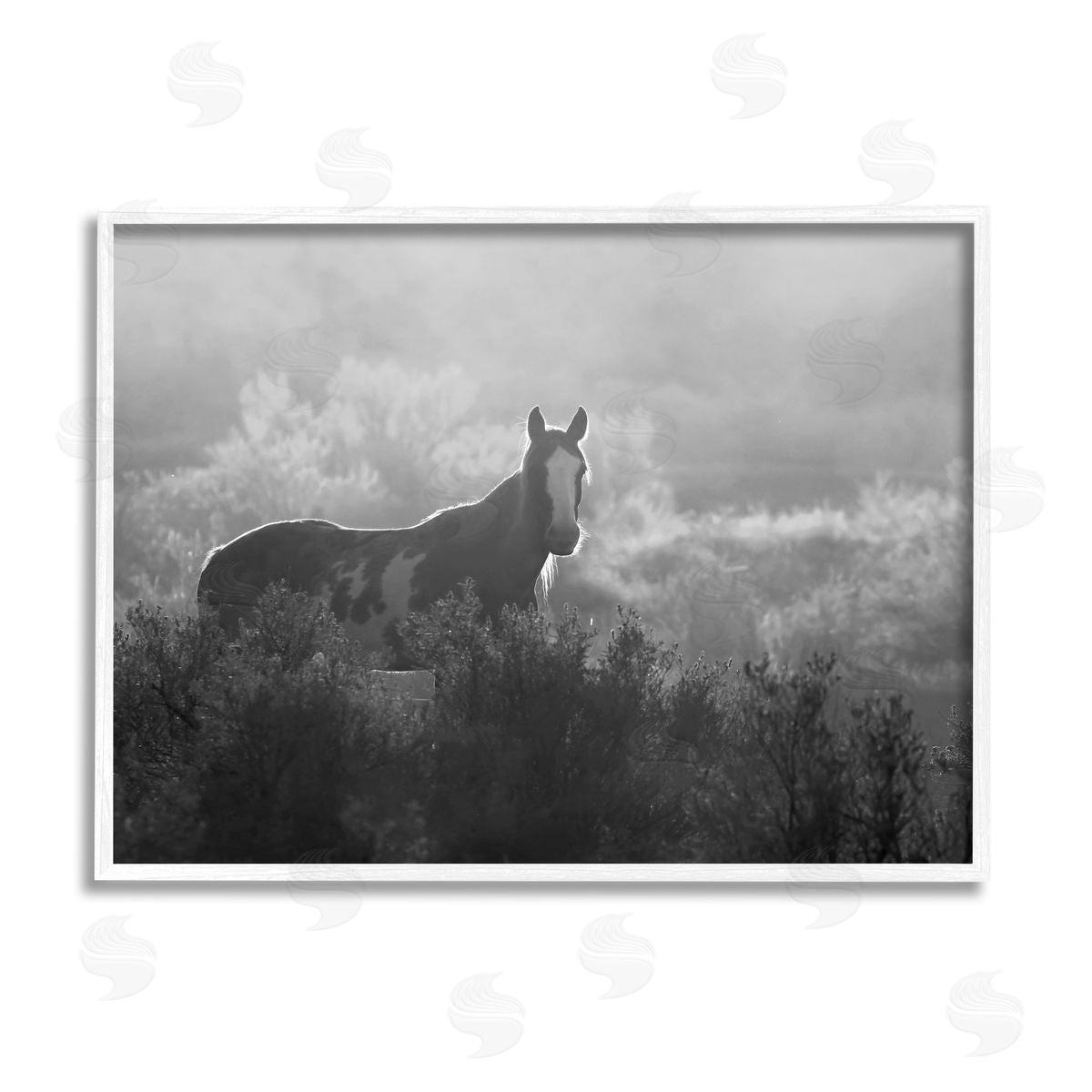 Steve Toole Horse in Nature Trees White Framed Giclee Wall Artside_