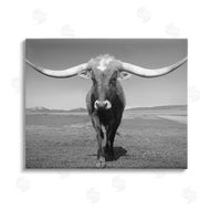 Steve Toole | Longhorn in Countryside