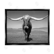 Steve Toole | Longhorn in Countryside