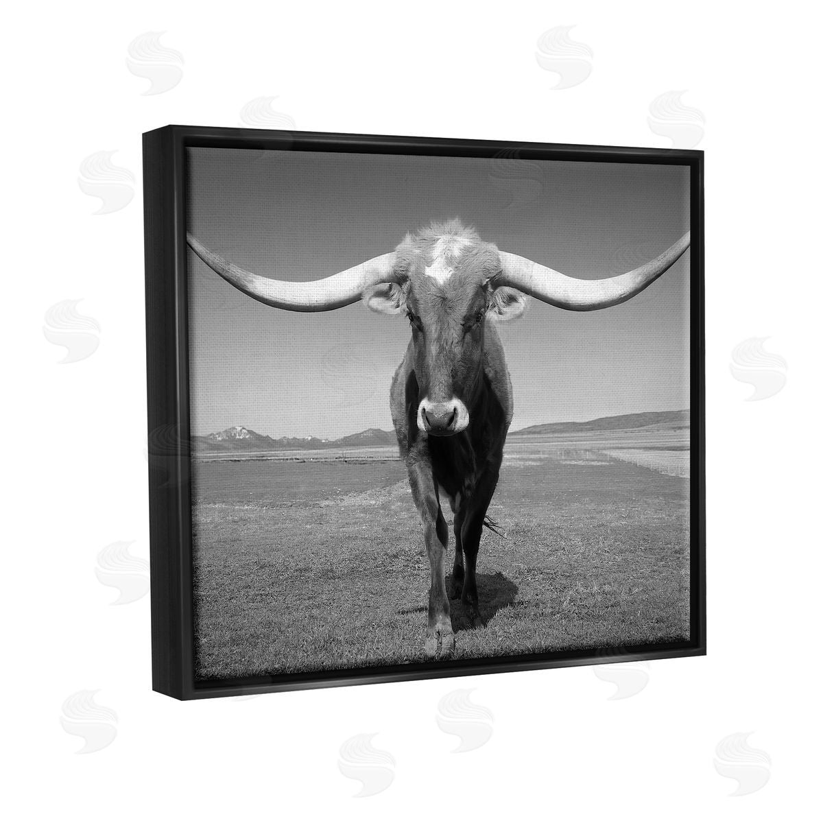Steve Toole Longhorn in Countryside Black Floater Frame Canvas Artside_