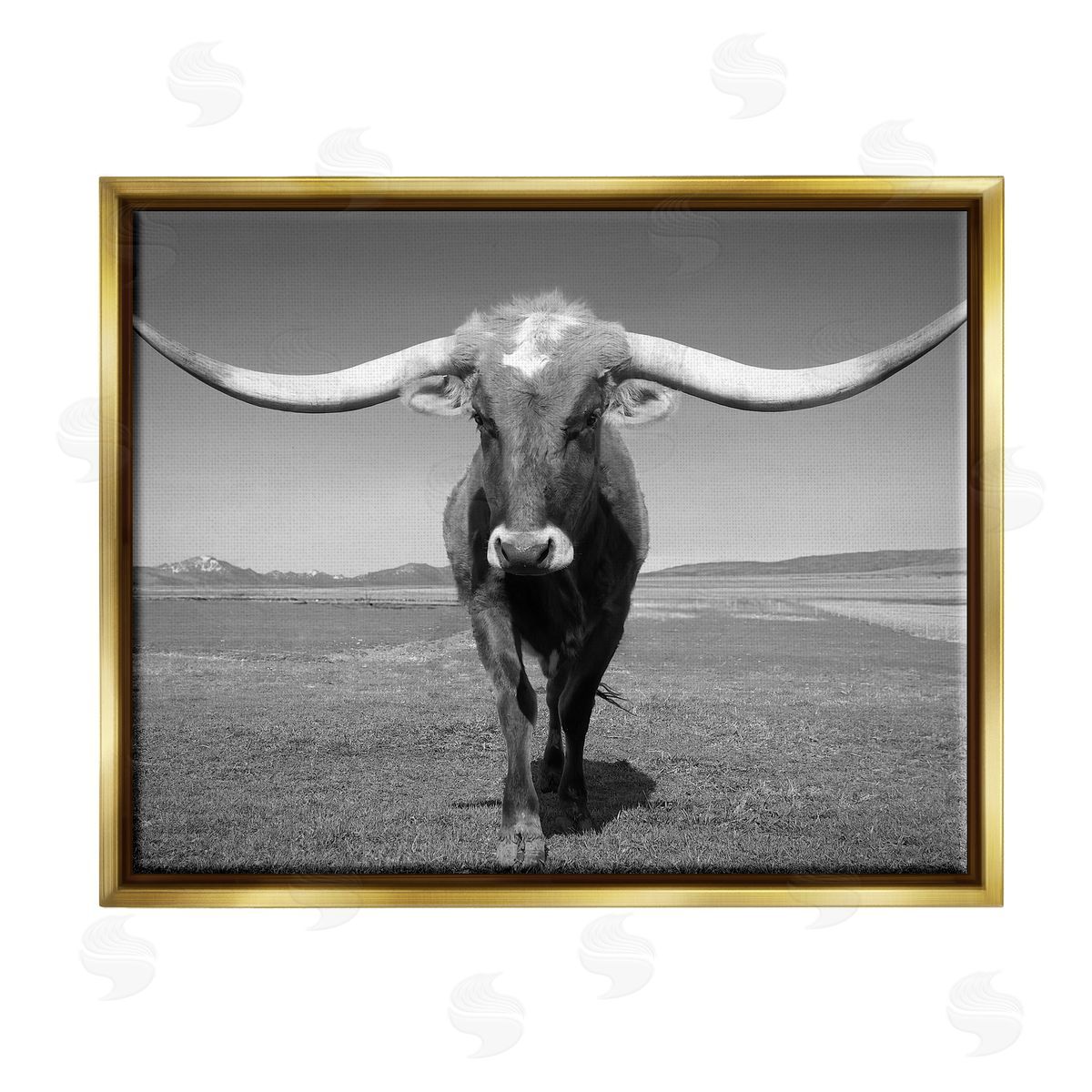 Steve Toole Longhorn in Countryside Gold Floater Frame Canvas Artside_