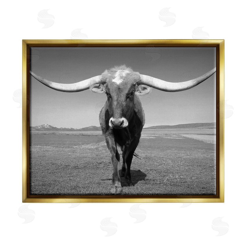 Steve Toole | Longhorn in Countryside