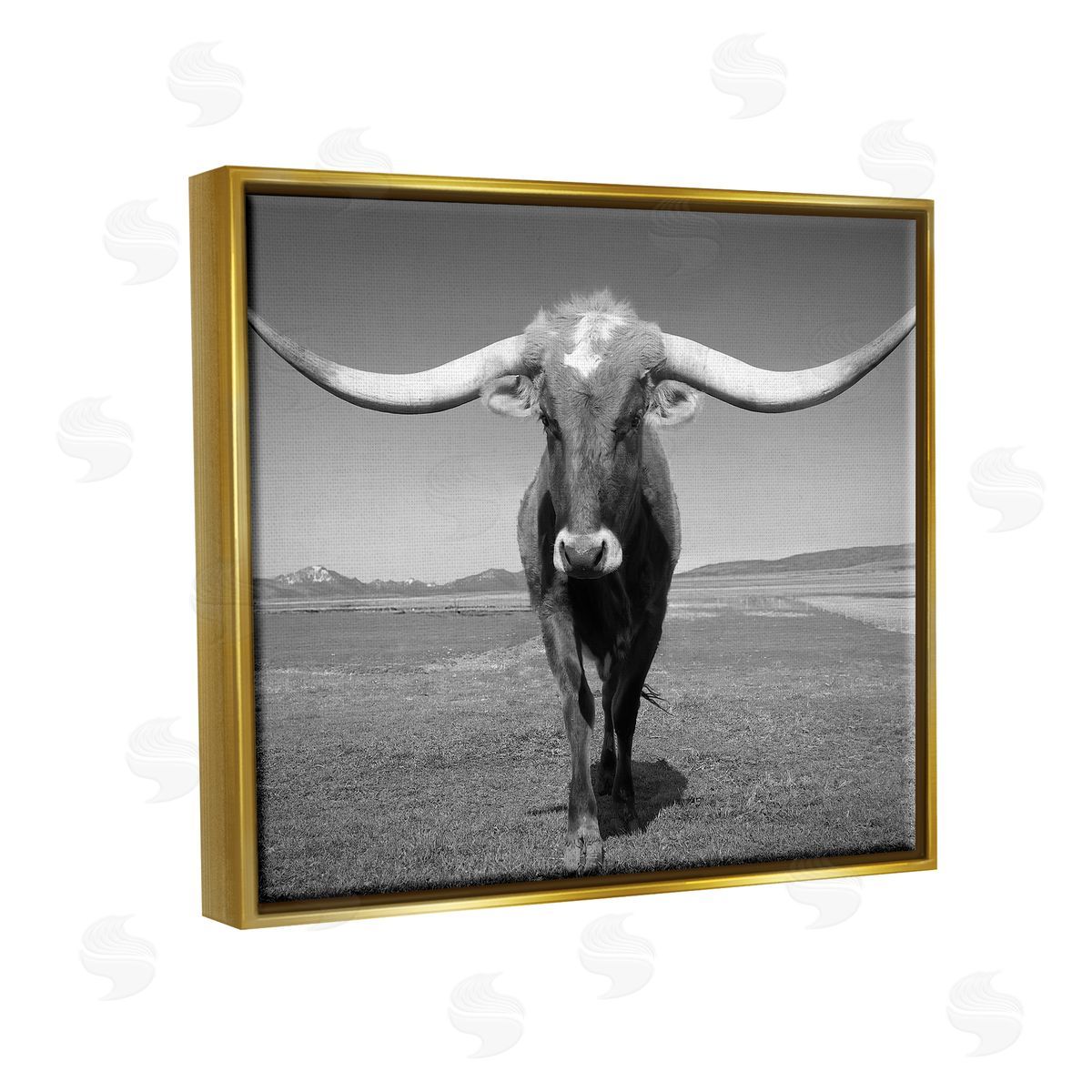 Steve Toole | Longhorn in Countryside