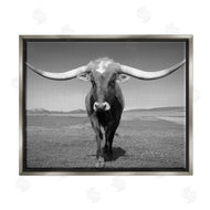 Steve Toole | Longhorn in Countryside