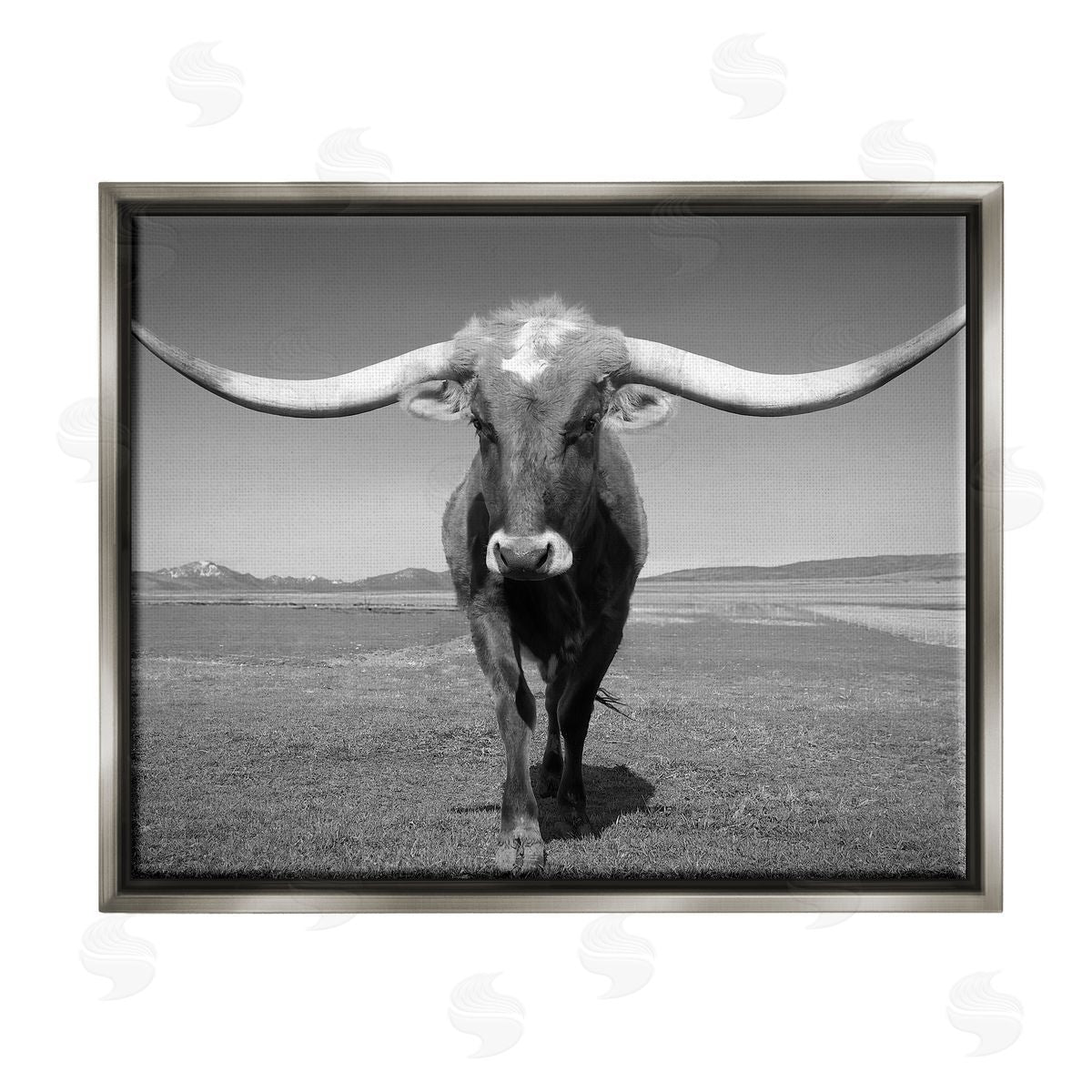 Steve Toole | Longhorn in Countryside
