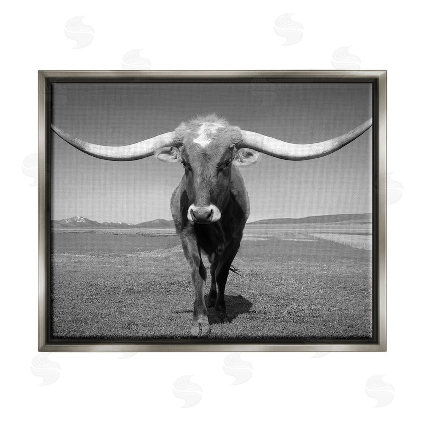 Steve Toole | Longhorn in Countryside