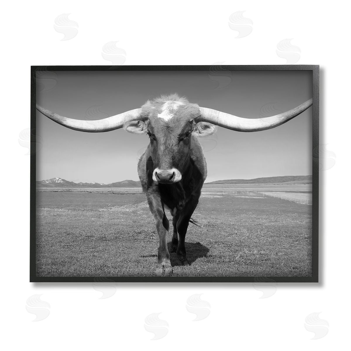 Steve Toole Longhorn in Countryside Black Framed Giclee Wall Artside_