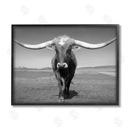 Steve Toole | Longhorn in Countryside