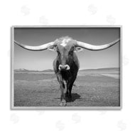 Steve Toole | Longhorn in Countryside