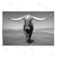 Steve Toole | Longhorn in Countryside