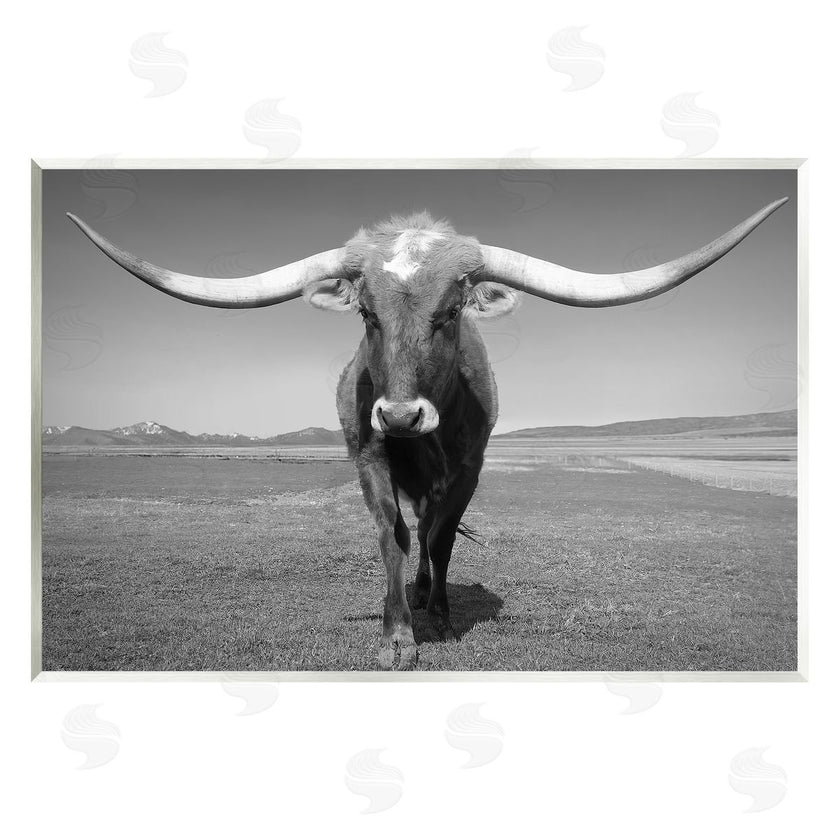 Steve Toole | Longhorn in Countryside
