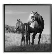 Steve Toole | Horse & Foal Photography