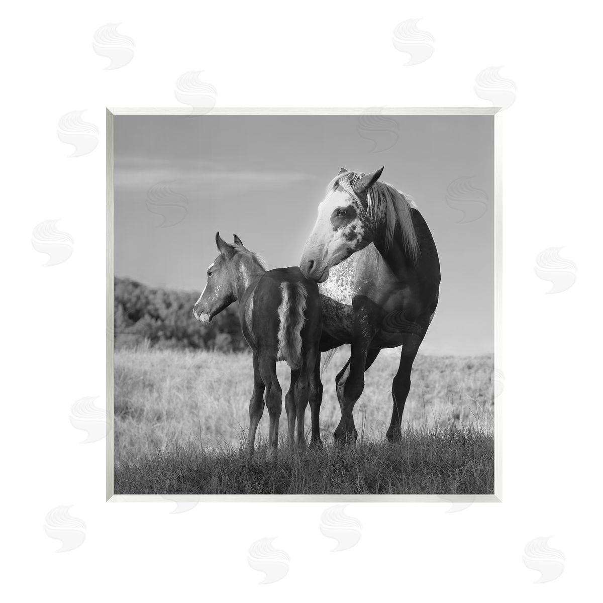Steve Toole Horse & Foal Photography Wall Plaque Artside_