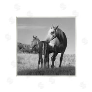 Steve Toole | Horse & Foal Photography