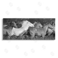 Steve Toole | Horse Herd Galloping