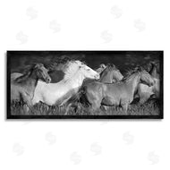 Steve Toole | Horse Herd Galloping