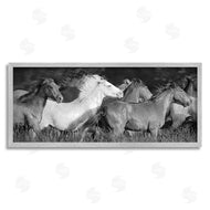 Steve Toole | Horse Herd Galloping