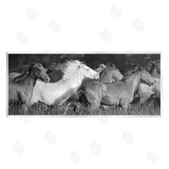 Steve Toole | Horse Herd Galloping