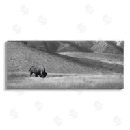 Steve Toole | Bison with Mountain Peaks