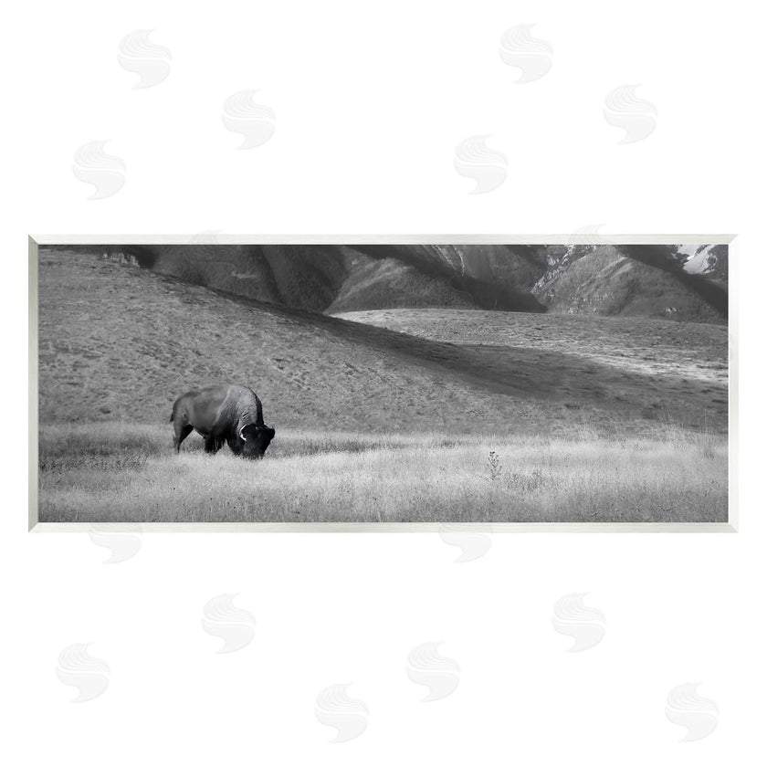 Steve Toole | Bison with Mountain Peaks