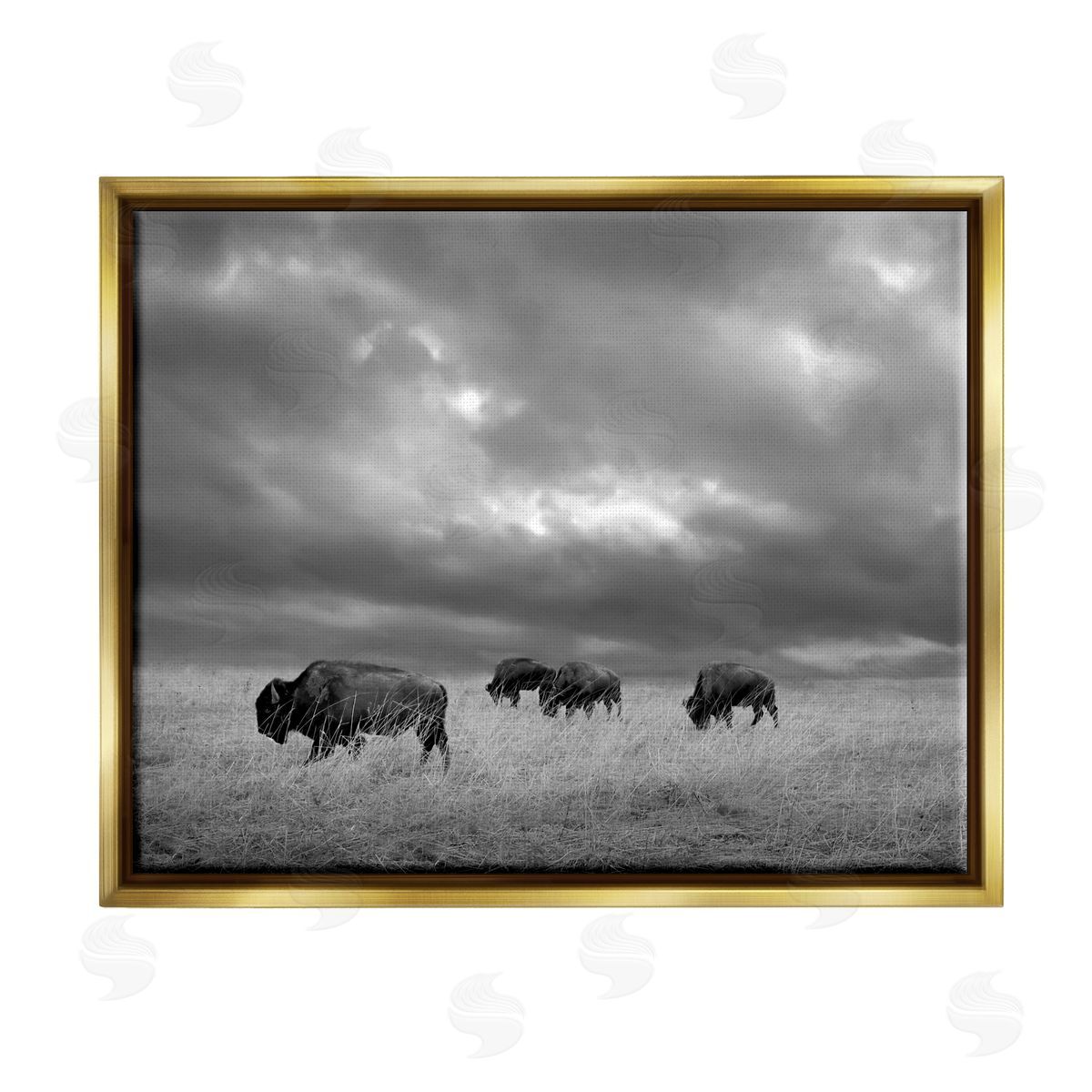 Steve Toole | Bison in Cloudy Field
