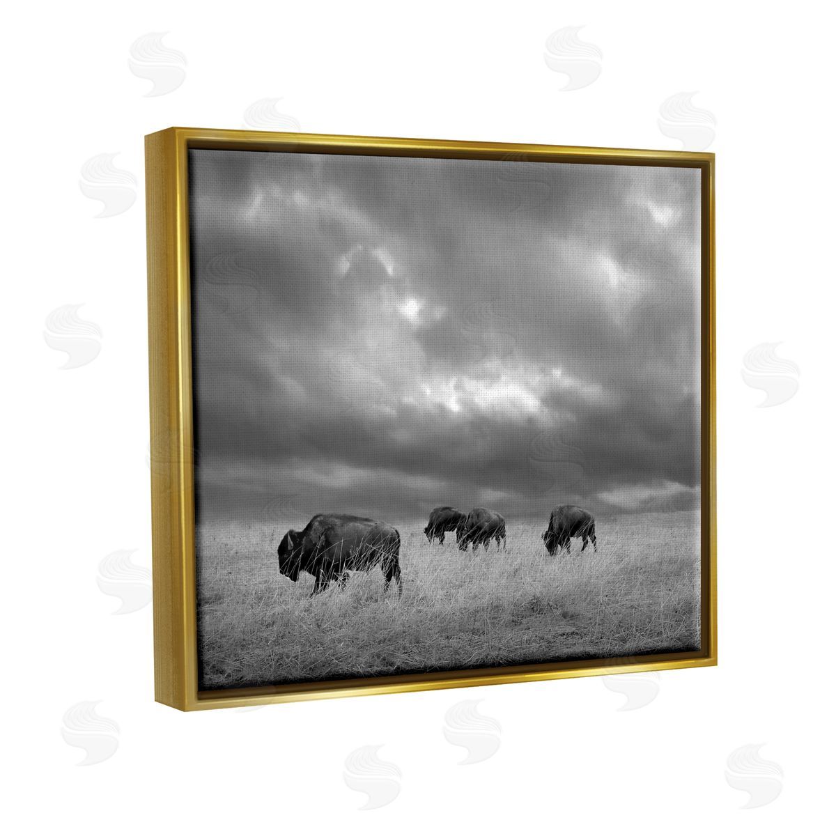 Steve Toole | Bison in Cloudy Field