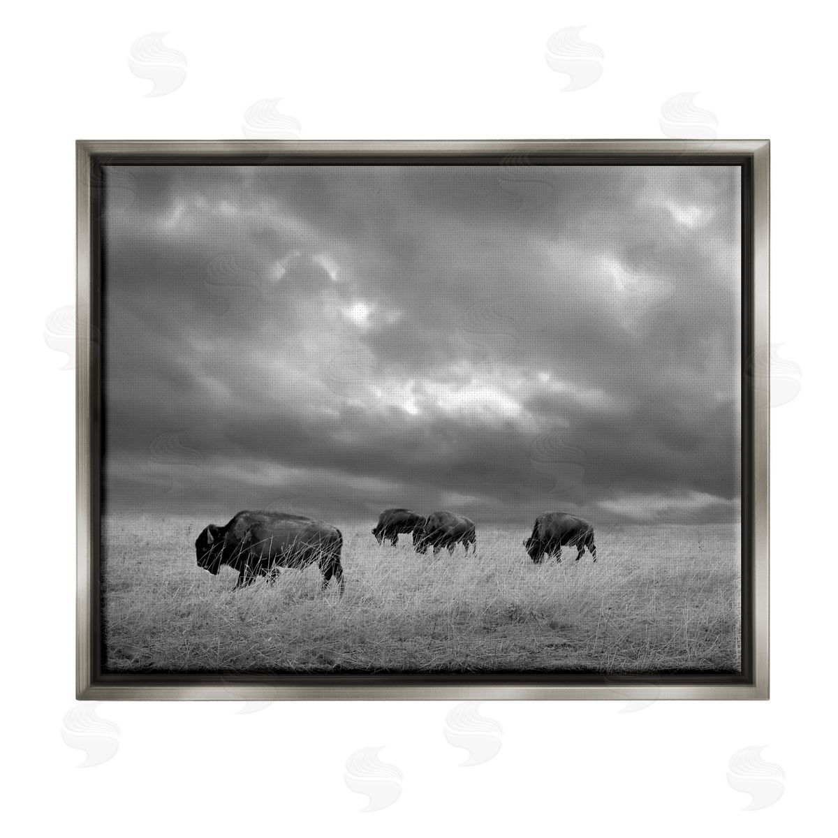 Steve Toole Bison in Cloudy Field Gray Floater Frame Canvas Artside_