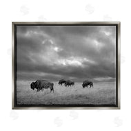 Steve Toole | Bison in Cloudy Field