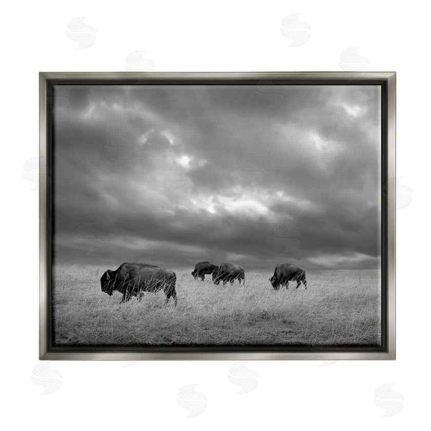 Steve Toole | Bison in Cloudy Field