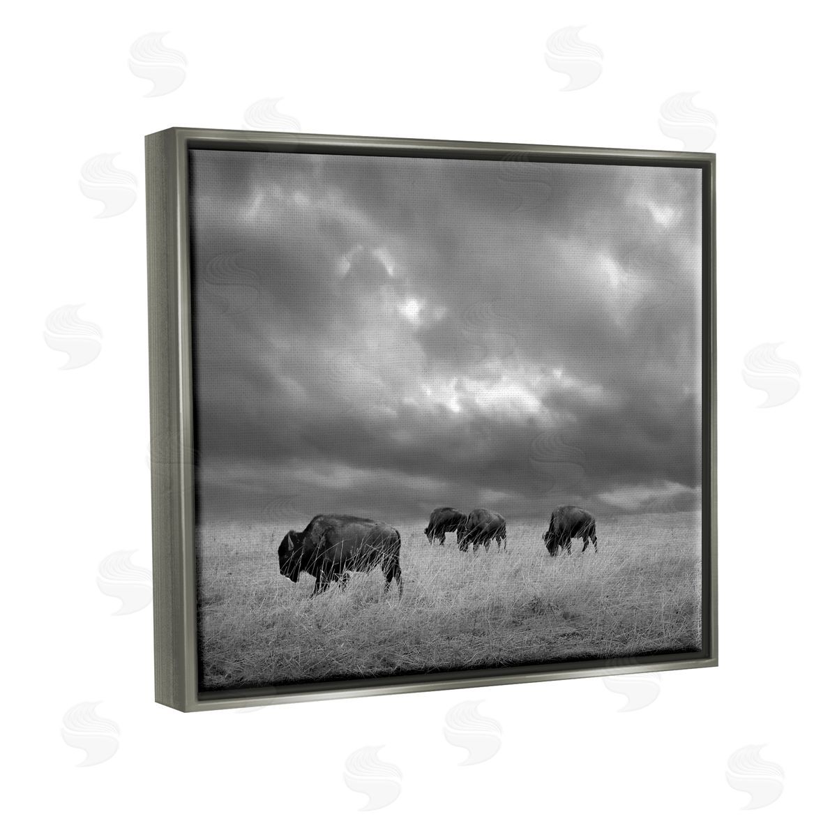 Steve Toole | Bison in Cloudy Field