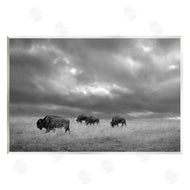Steve Toole | Bison in Cloudy Field