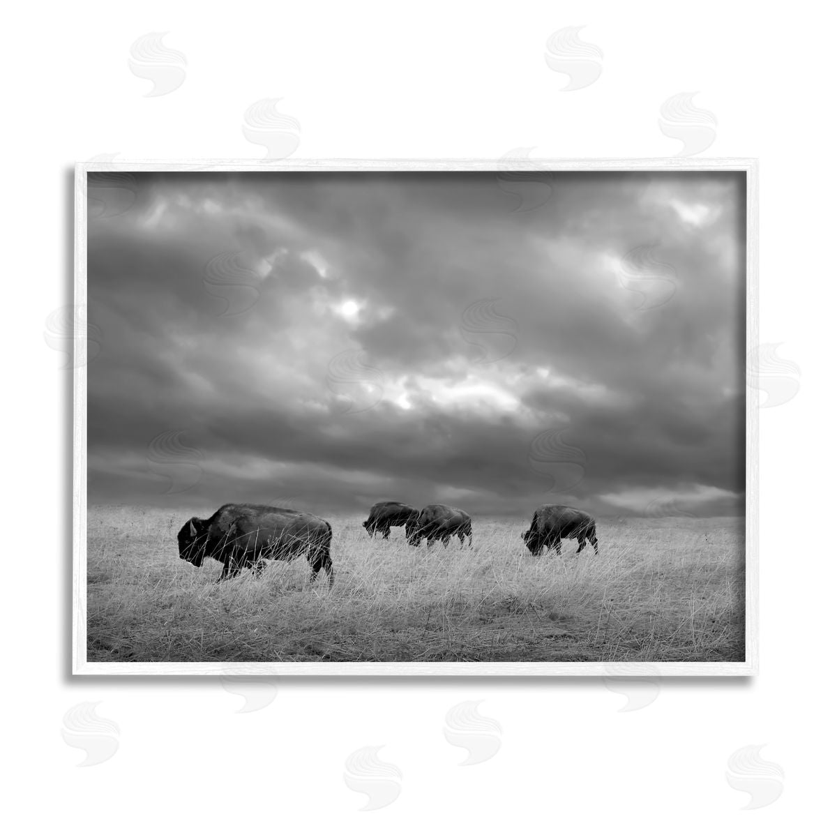 Steve Toole Bison in Cloudy Field White Framed Giclee Wall Artside_